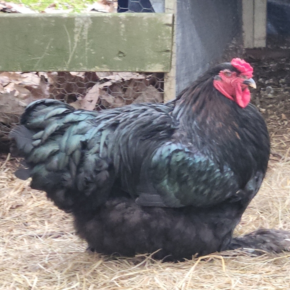 Accepting REASONABLE Offers! - Picture 5 of 7